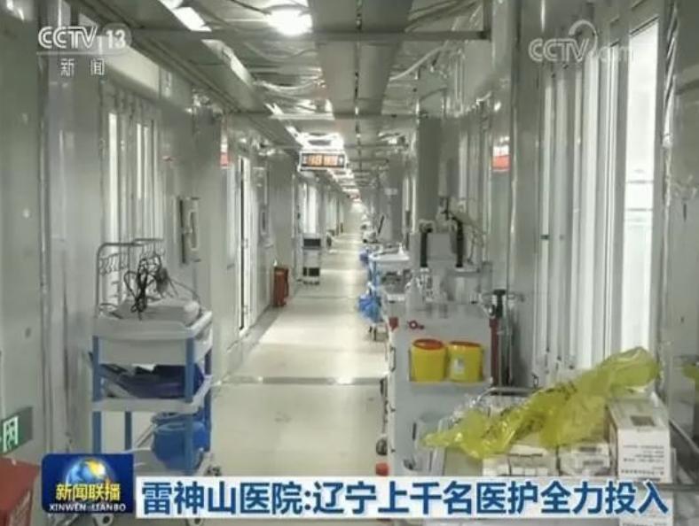 抗疫中药获得成功利好红日吗,抗疫神药麻黄