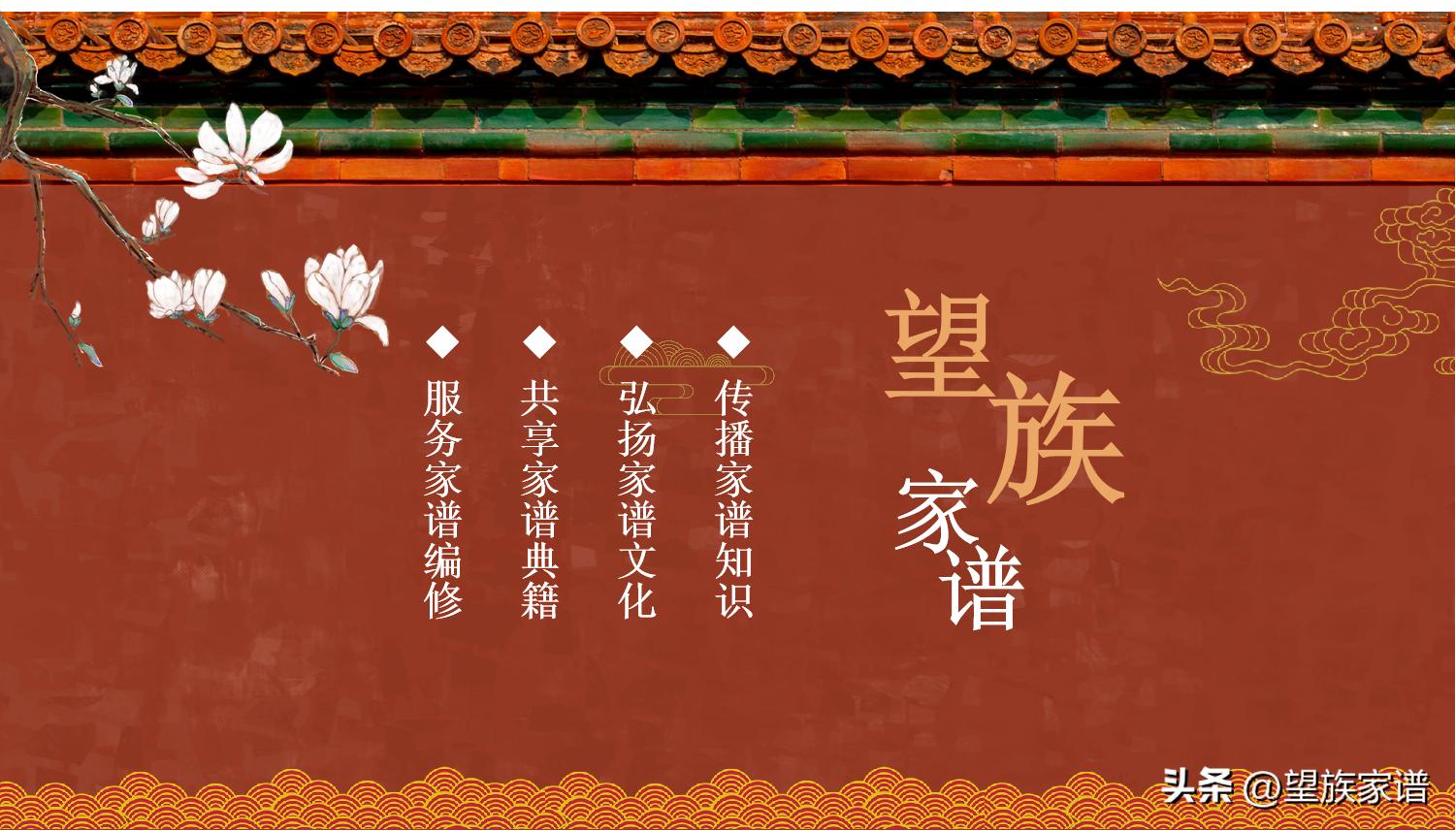 寻根31集免费观看,中华家谱寻根网