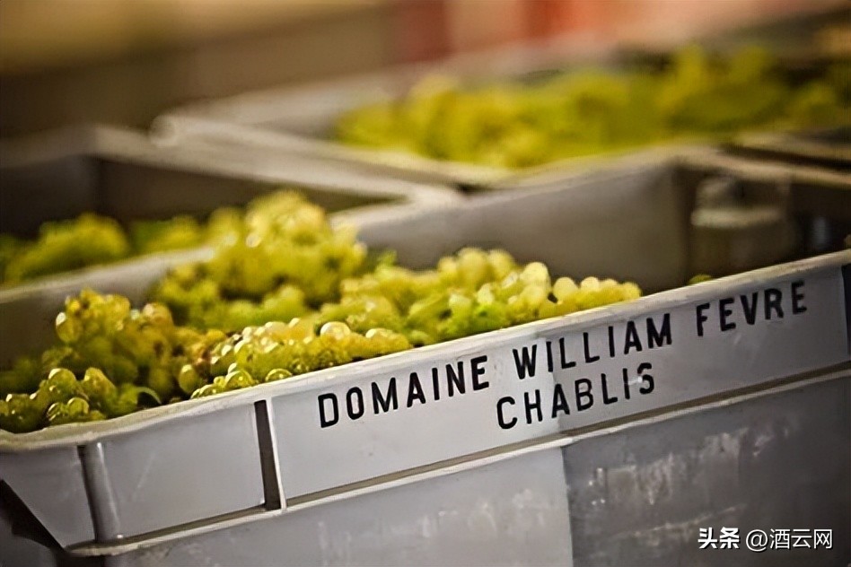 稀罕事儿，拉菲的老板从拉图的老板那儿收购了一家勃艮第酒庄