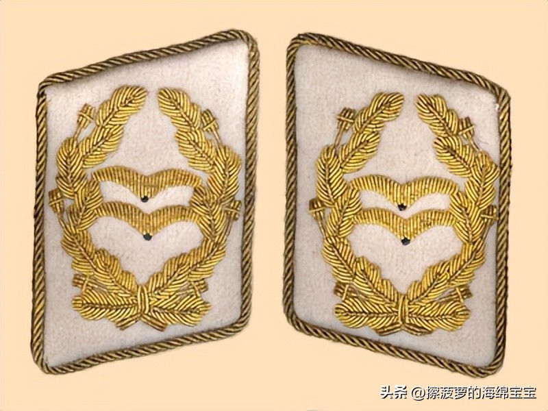 二战德国将军军衔图案,二战德国突击队队长军衔