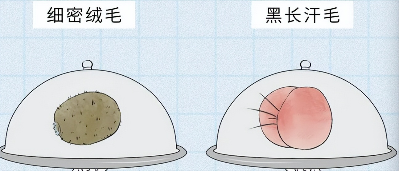 胸部长的褐色小点是什么,女生胸部上长了白色小点点