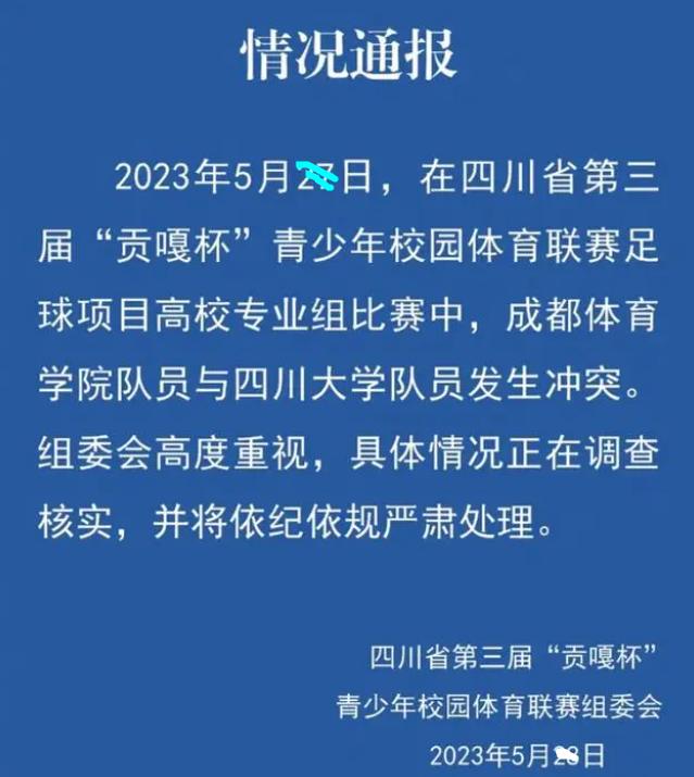 四川大学足球场打架事件处理结果,四川大学足球场打架斗殴事件