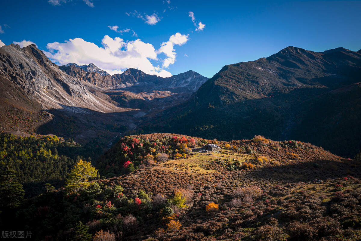 成都包车去九寨沟多少钱,成都去川西报团还是租车