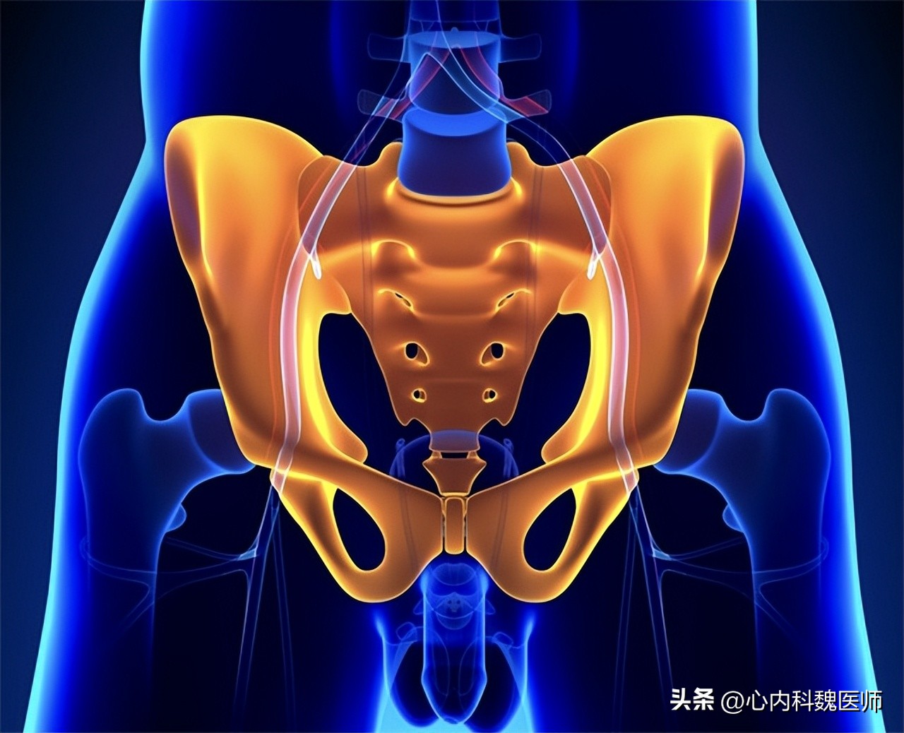 身体有病胯骨知道,身体有多处问题怎么看医生
