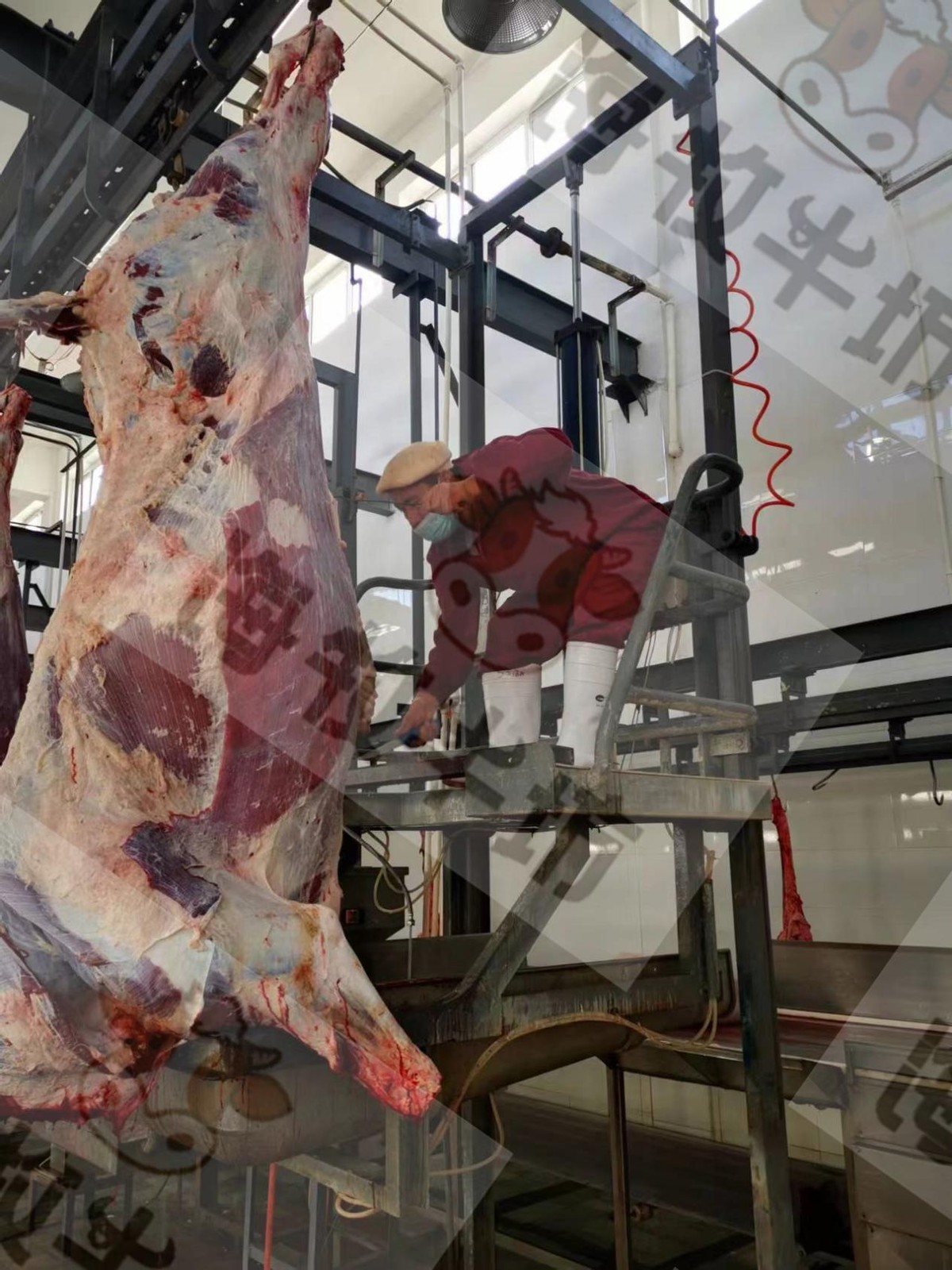 为什么网上卖的牛排比较好,为什么网上卖的牛排都是调理牛排