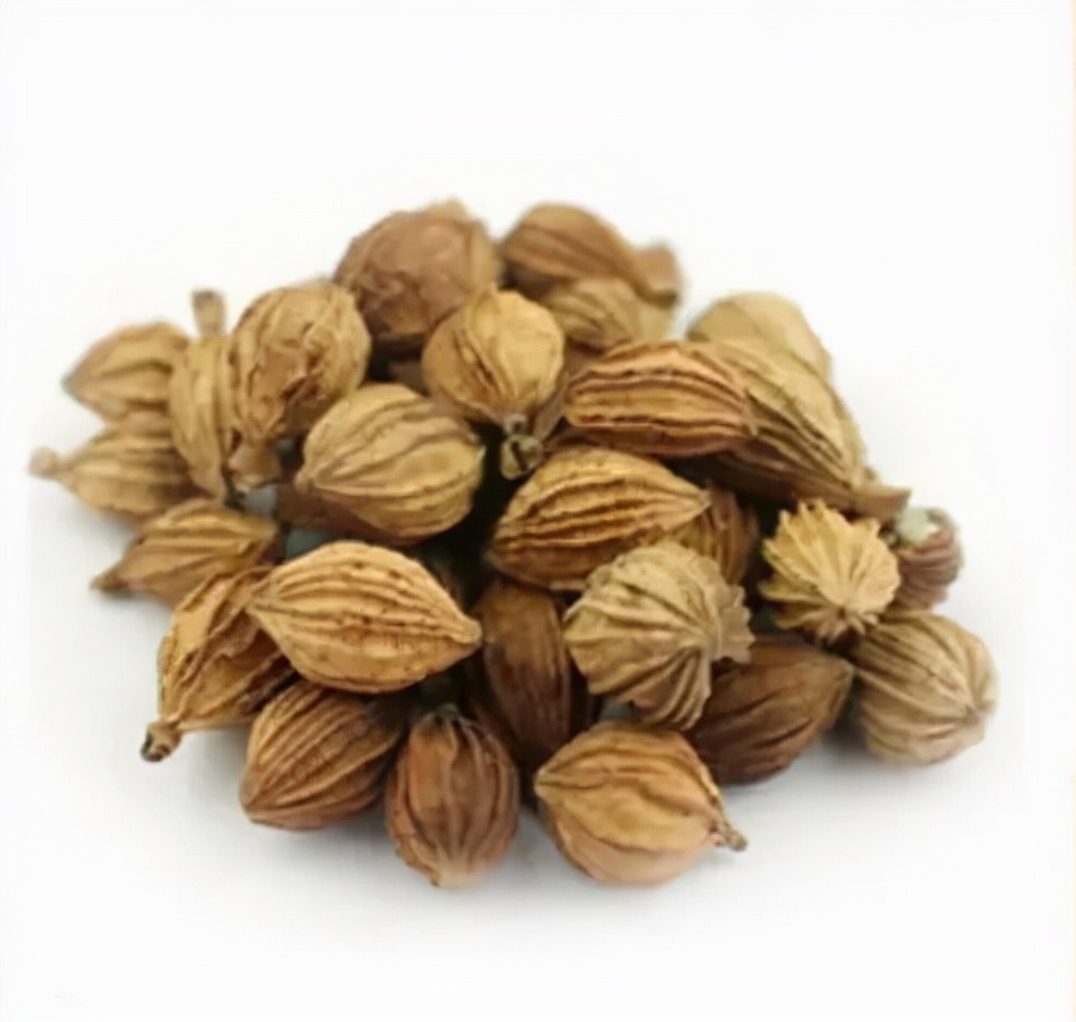 吕仁和治糖尿病足药方,国医大师吕仁和治糖尿病肾病