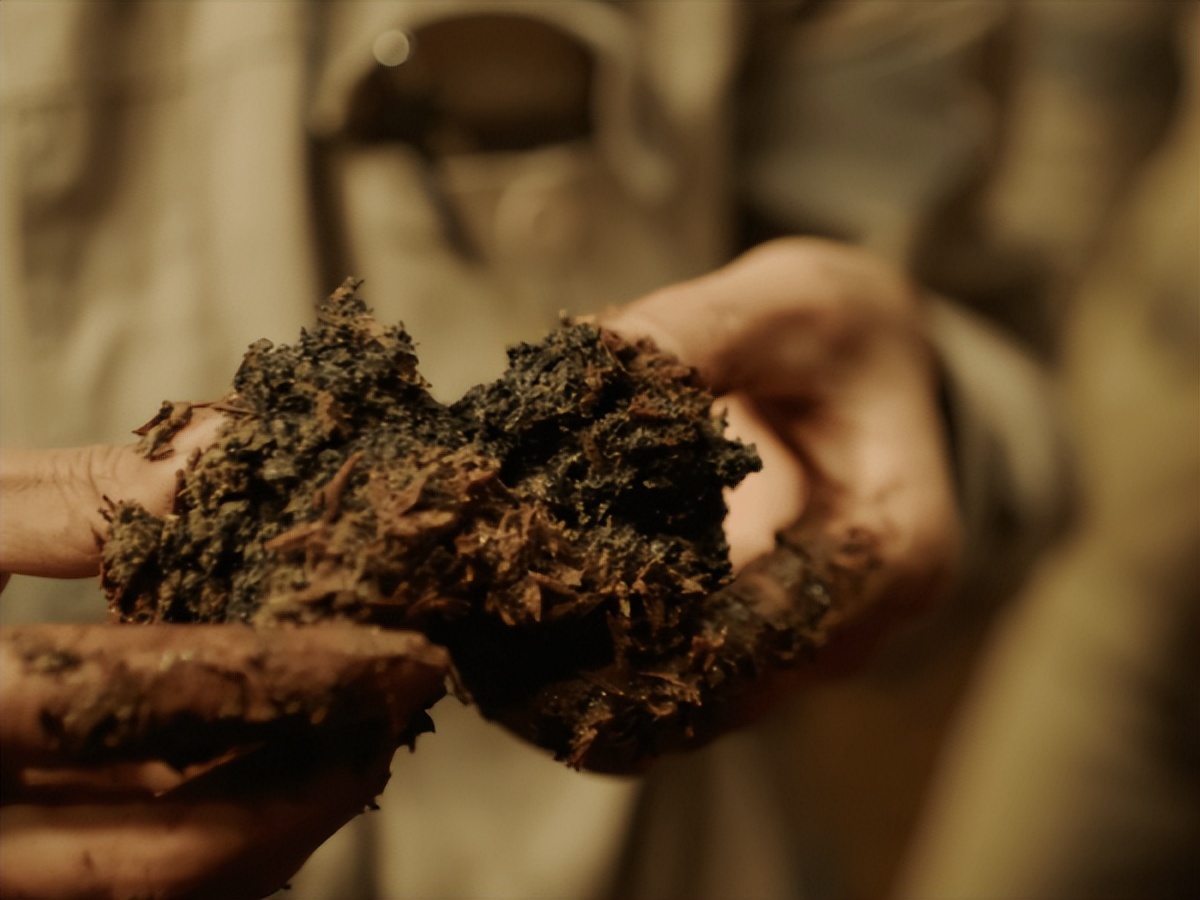 微生物菌群最新研究进展,一号菌群科研新成果