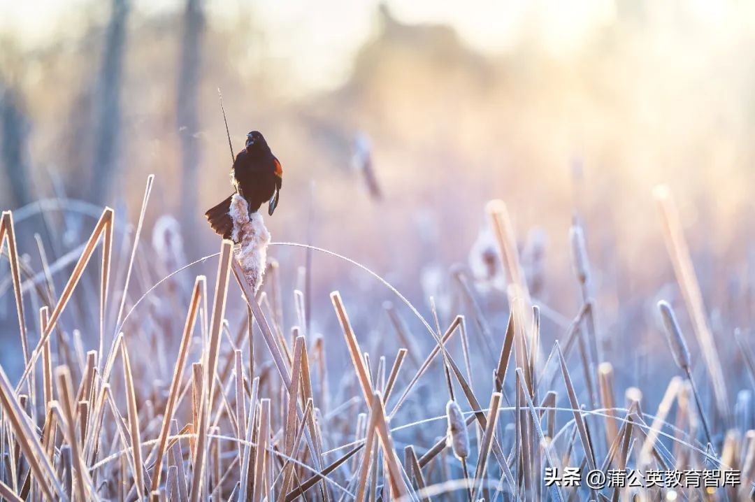 期末复习教师个人工作任务清单,教师期末工作典型经验总结