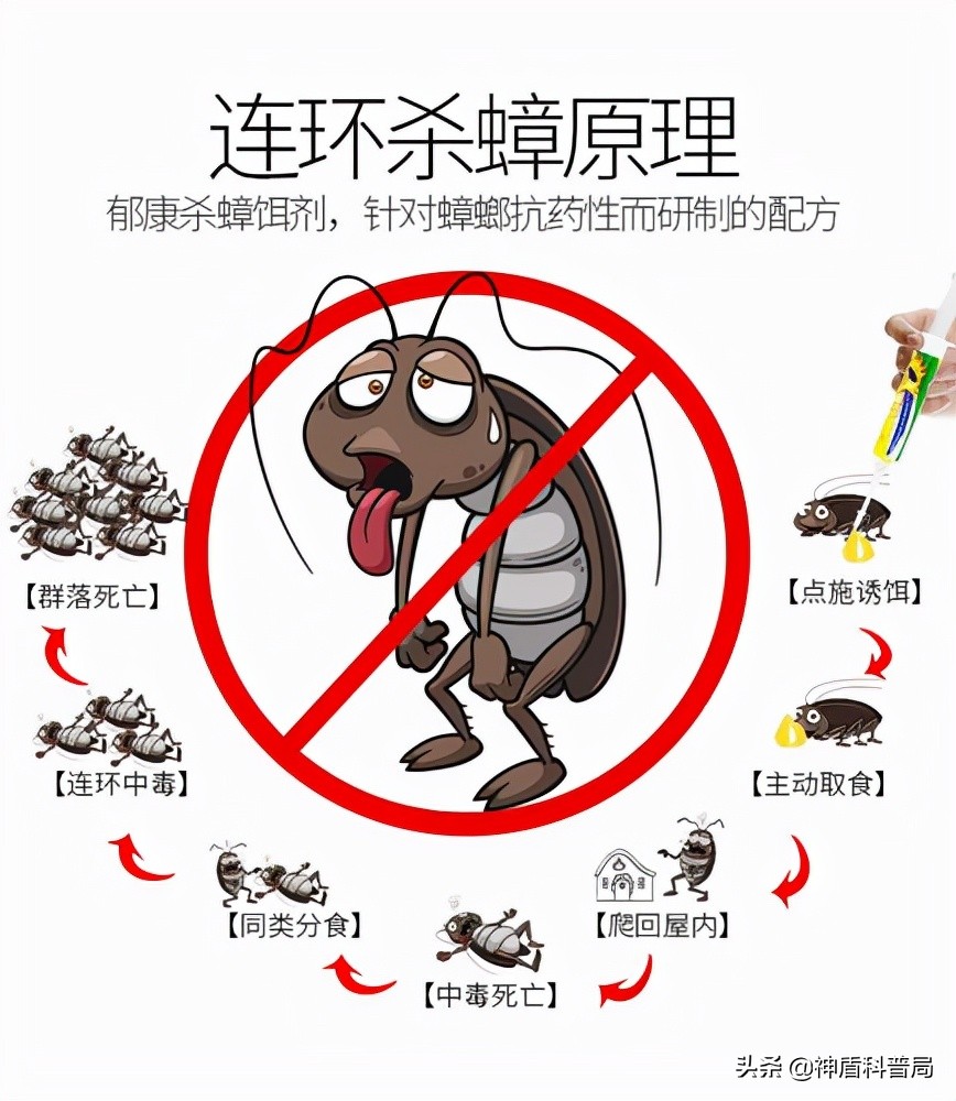 明明蟑螂爬到身上就不见了,有人把蟑螂给踩死了