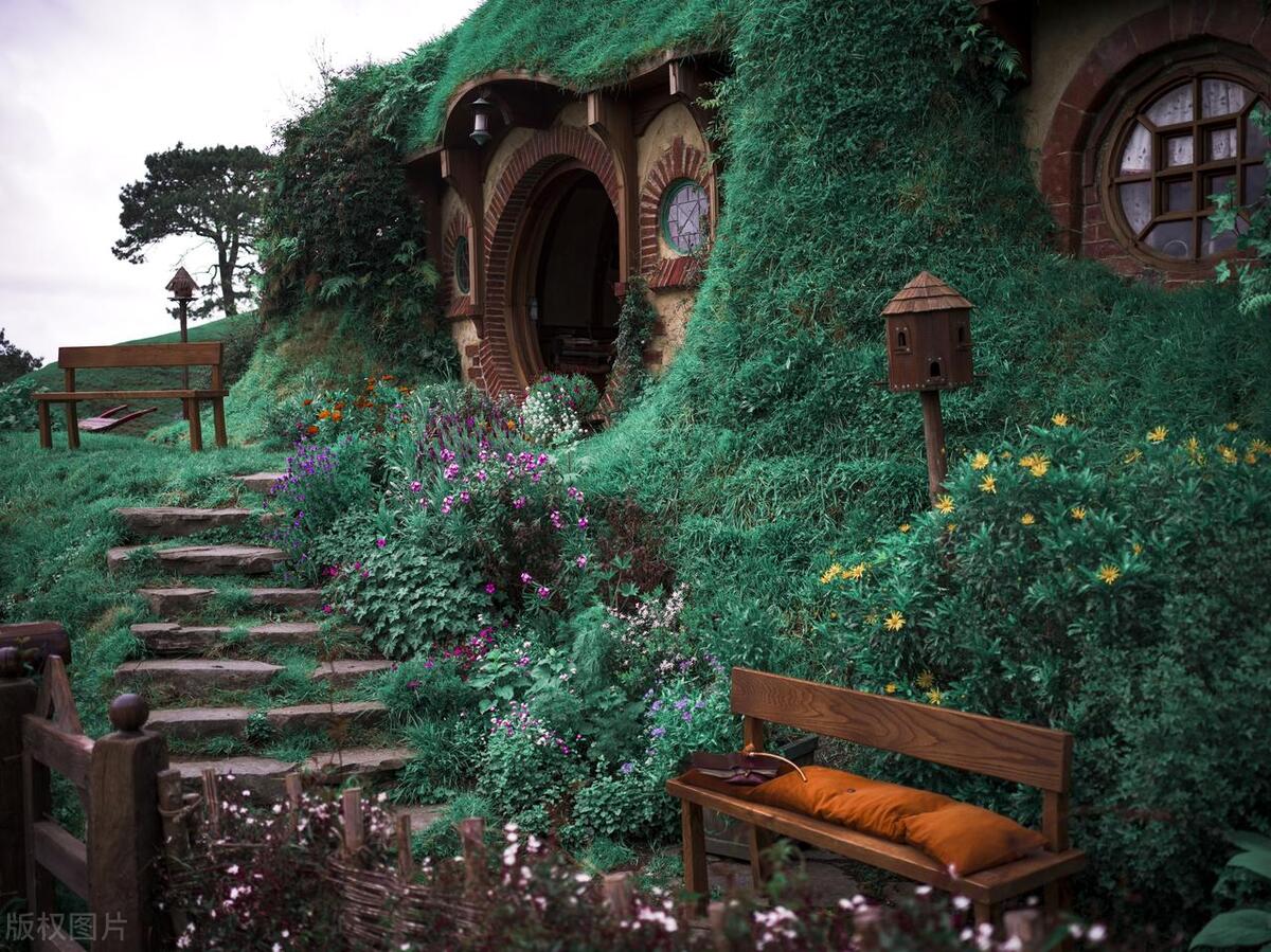 最贵的10本书 (最值钱的九本书)