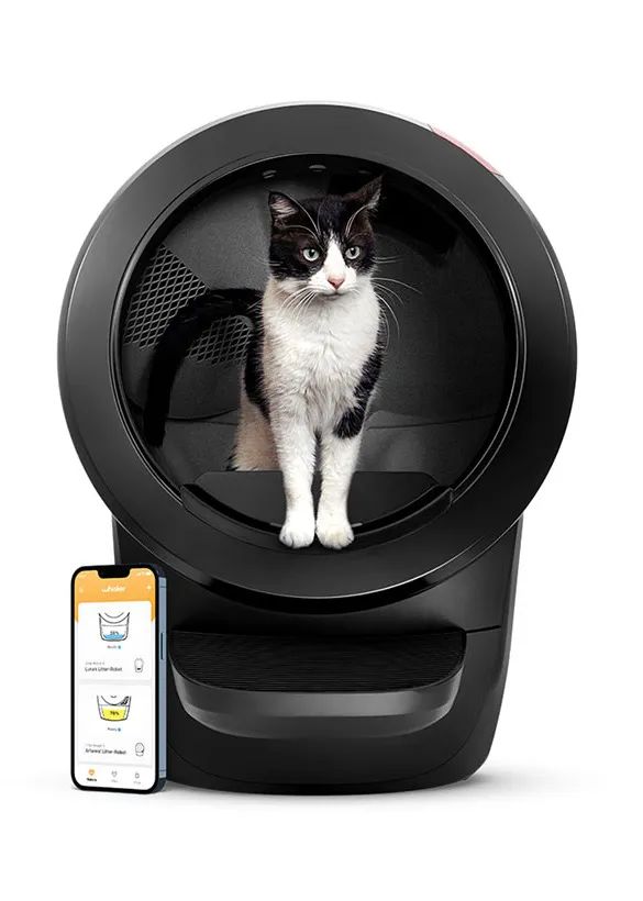 宠物设计用什么产品比较好,给宠物设计一款产品