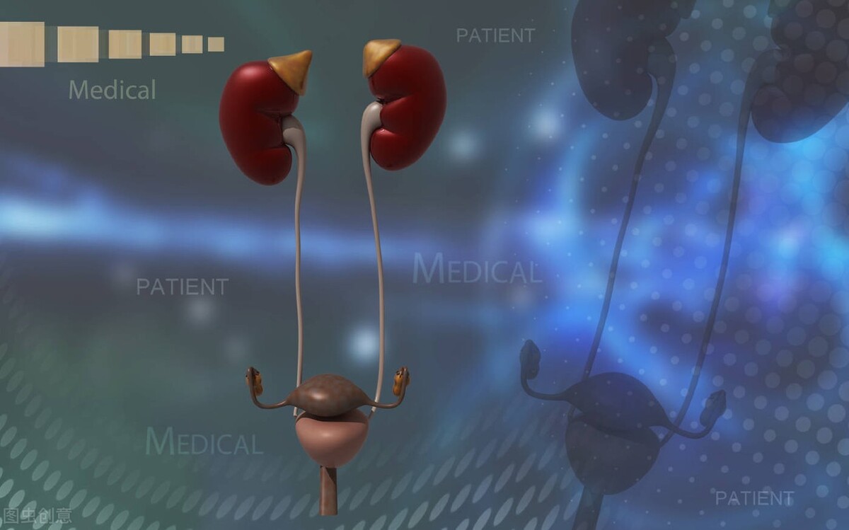 尿憋多了肾会不好吗,为什么尿憋久了醒不了