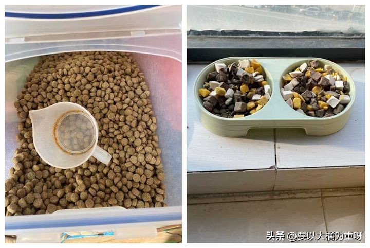 618值得入手的狗粮,养狗新手推荐狗性价比高