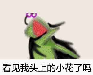 超萌的青蛙表情包,青蛙表情包大全可爱