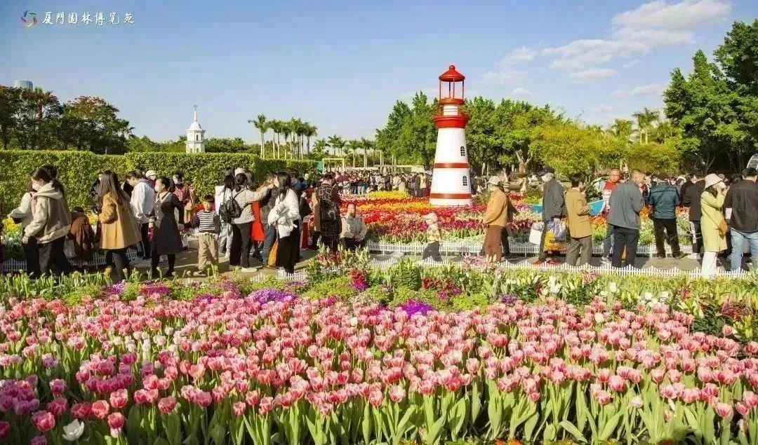 春节厦门,春节去厦门