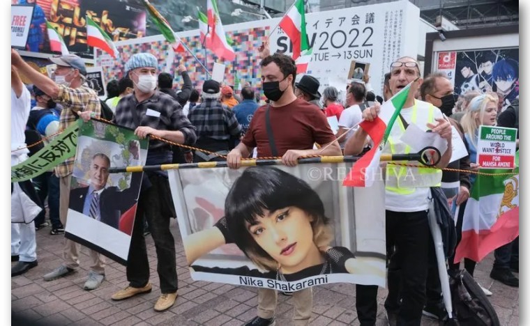 日本那帮“走线恨国*党**”坚决留下当难民，原来在国内有案底哦