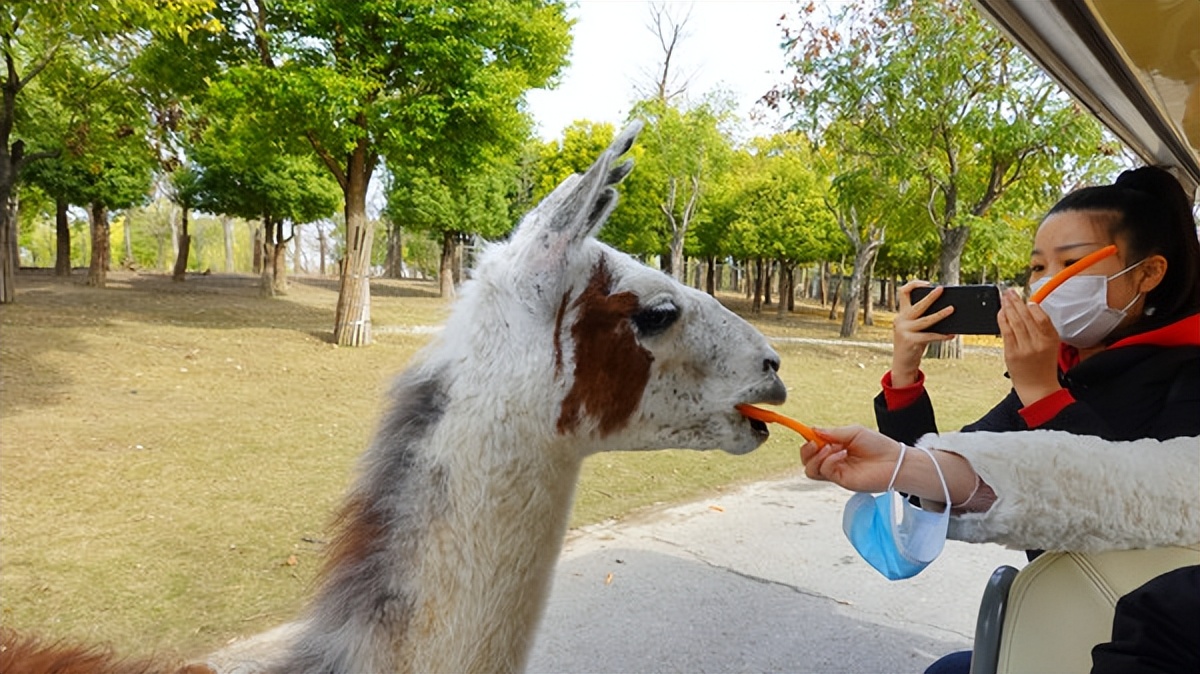 在江苏的“绿林仙海”中，寻找侠气与柔情