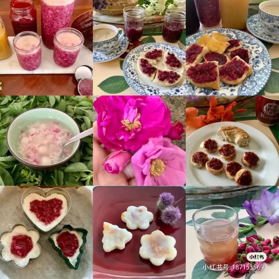 月季玫瑰蔷薇区别,蔷薇月季玫瑰之间的区别