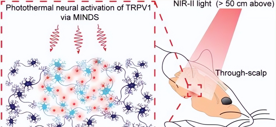 美国大脑控制实验,美国科学家徒手核试验