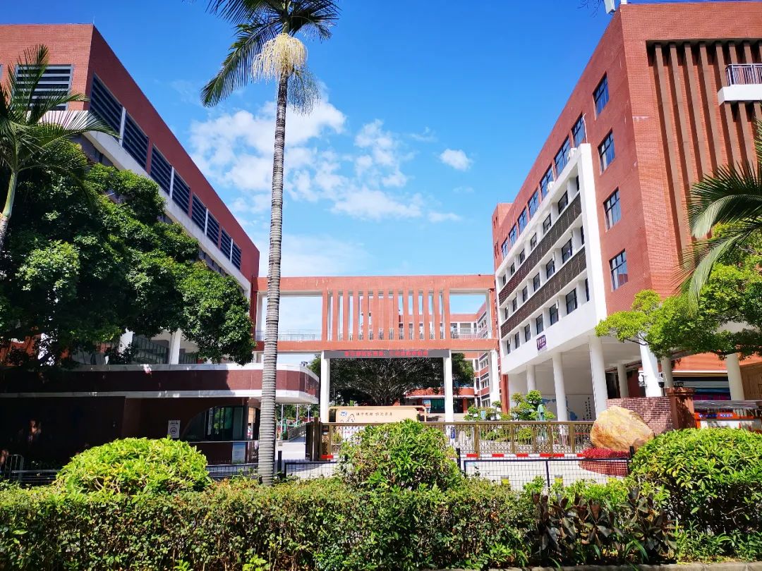 深圳国际教育留学,深圳国际教育