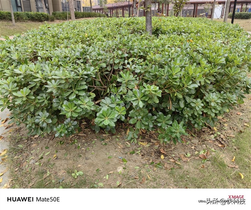 华为mate50最便宜价格,华为mate50e和mate50发布价格