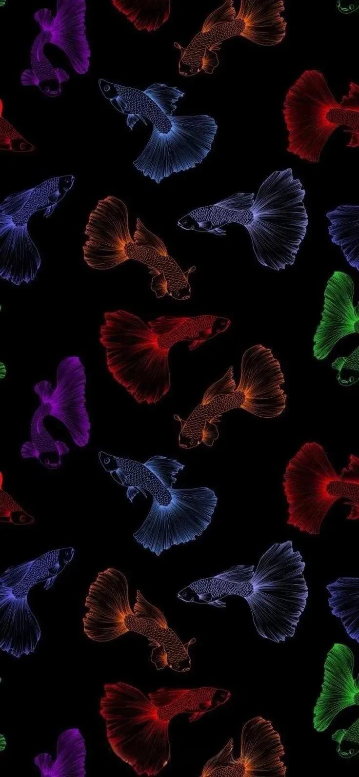 潮图壁纸抖音同款,潮图壁纸4k超清全面屏