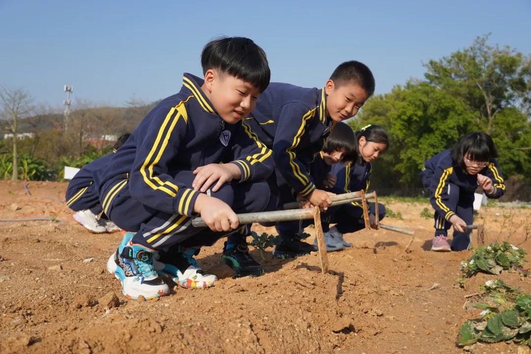 前方高能谁演的,前方高能校园歌手演唱瞬间