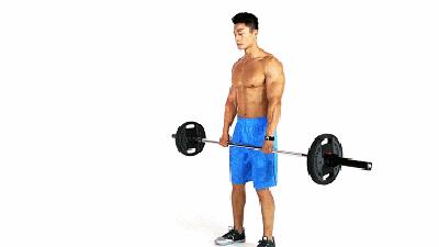 新人健身房健身一周训练计划,新手家庭健身一周训练计划