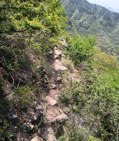 天梯歌曲背后的故事歌词,天梯爱情故事背景音乐