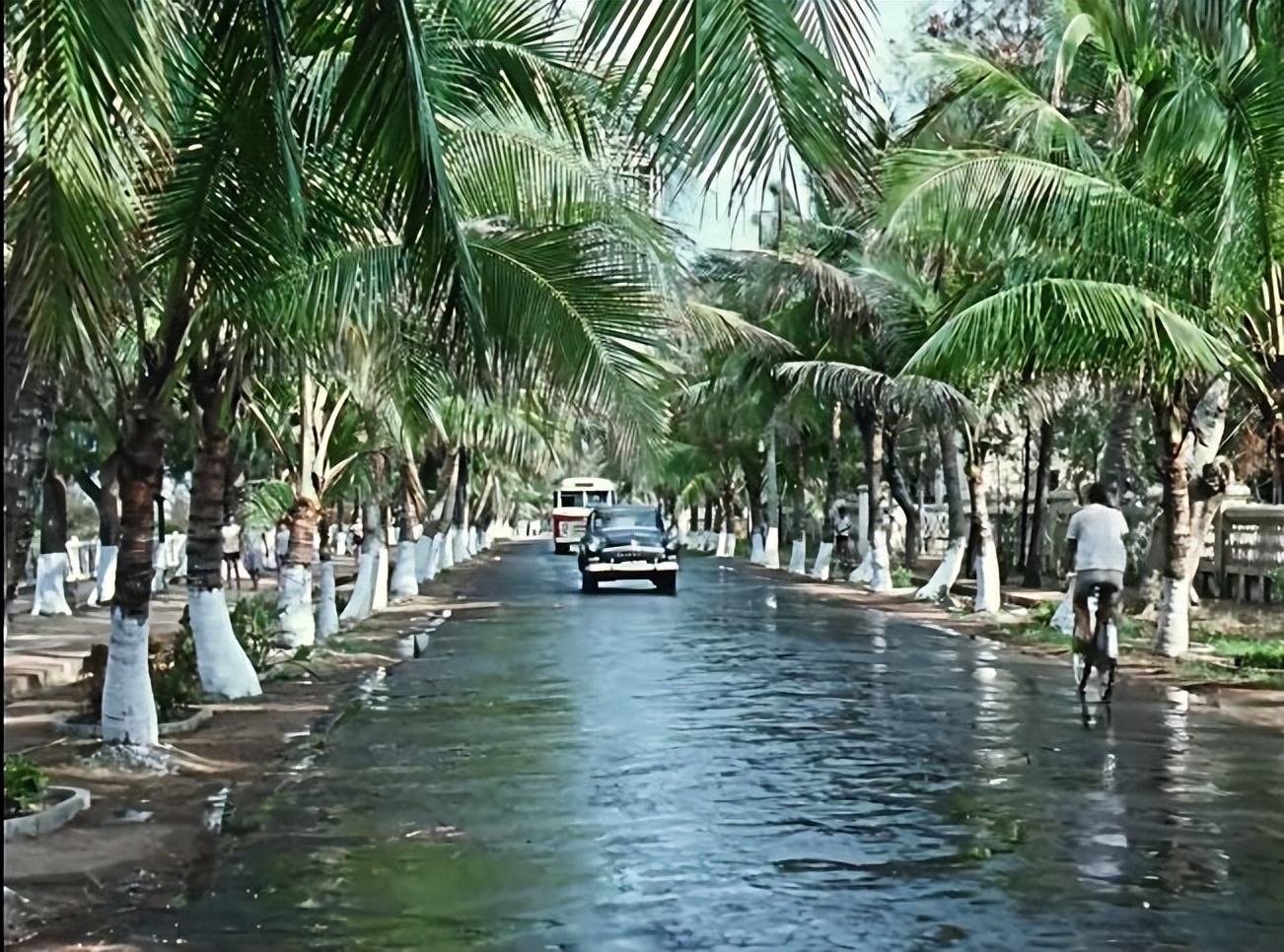 58年前的五好电影画面美歌好听女主角青春靓丽男主角人帅嗓音性感