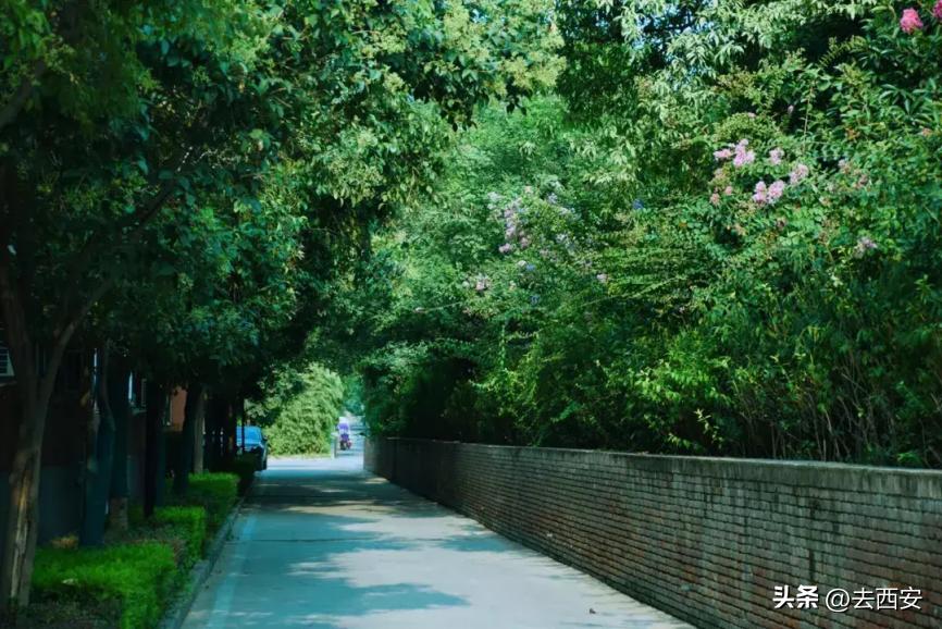 西安最美的大学欧亚学院,知名学府欧亚学院