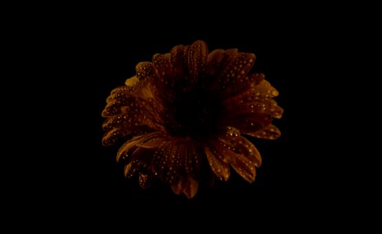 大屏幕护眼电视,海信激光电视80d9h80英寸测评