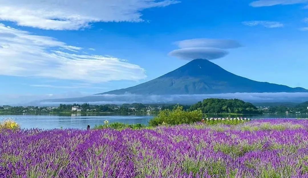 小景带你看海景房,小景带你看风景