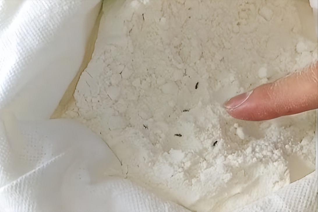 面粉有了虫子味,面粉生虫还能吃吗怎么去除虫子