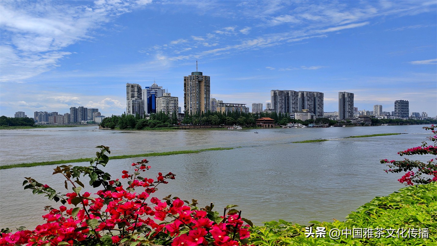 有一种幸福叫友情,幸福和谐的一家人