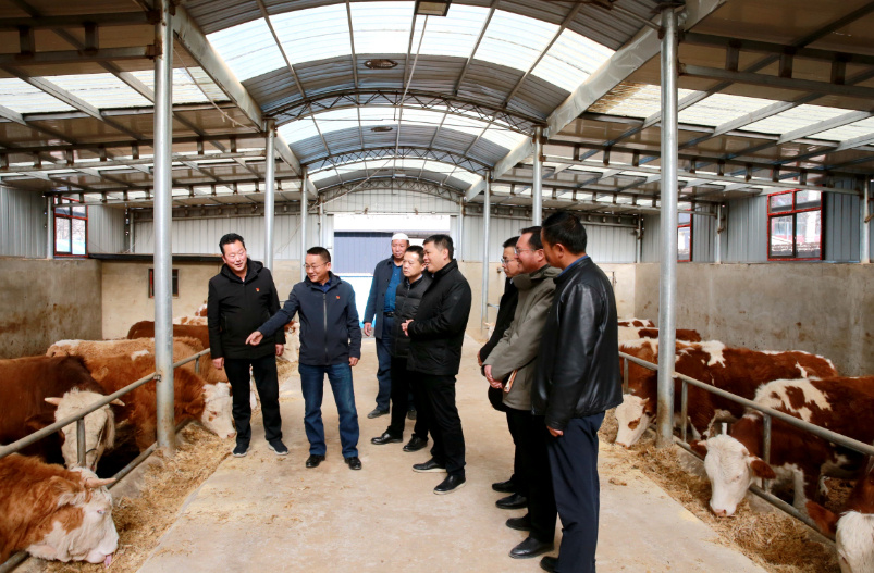 银行业精神文明建设工作计划方案,建设银行金融服务举措