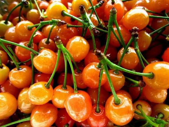 甘肃的什么地方的水果最好吃,甘肃的特色水果是什么