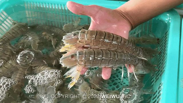 珠海哪个批发市场便宜,珠海有什么大型批发市场吗