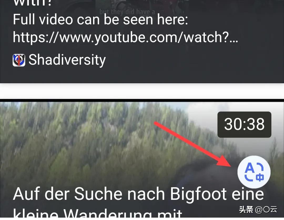 vivo手机隐藏的浏览器,vivo手机自带的浏览器是什么