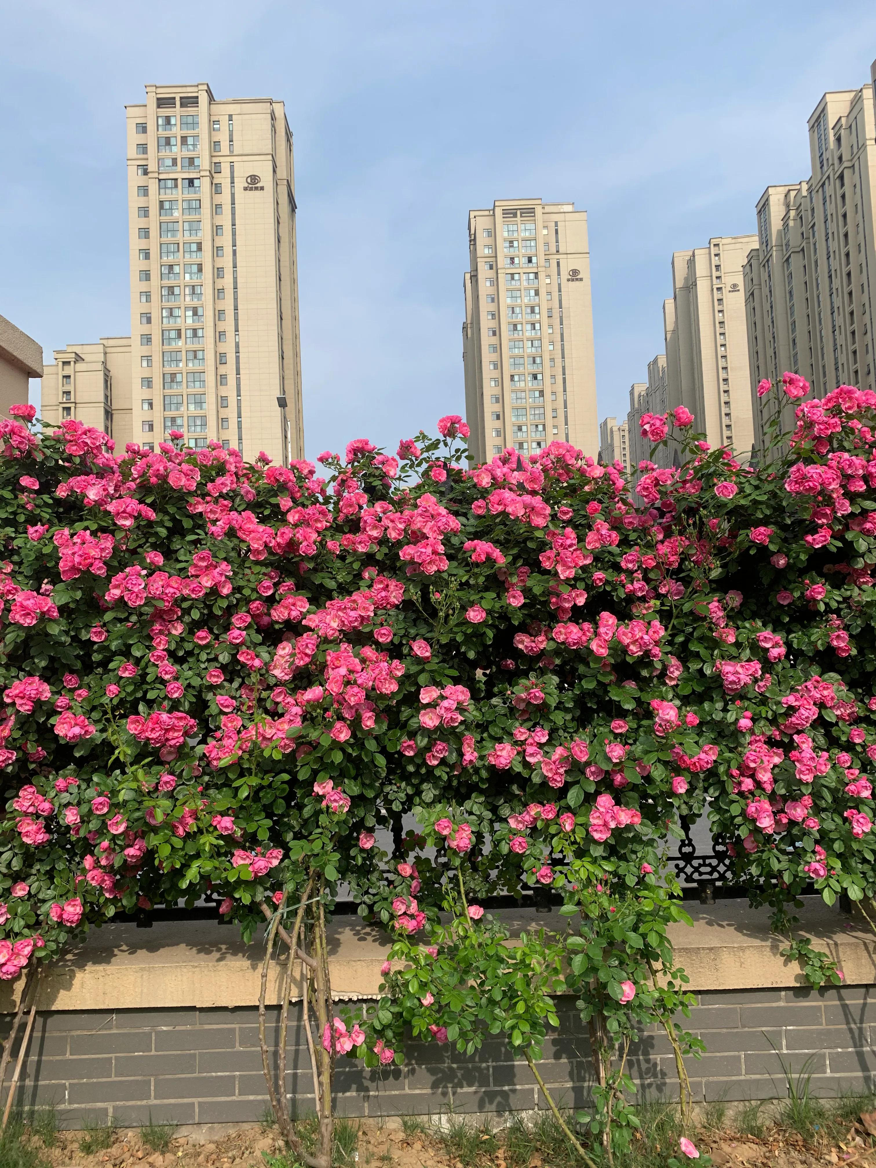 父母要警惕自己对儿女的忌讳,父母知道对子女不好吗