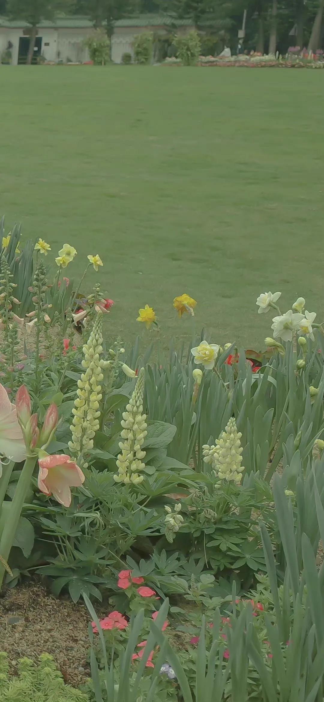 适合夏天的手机壁纸高清,纯颜色高清手机壁纸