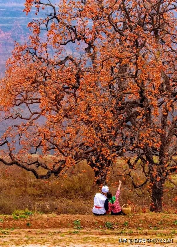 不用打字的七月再见你好八月美文,再见八月你好九月的散文