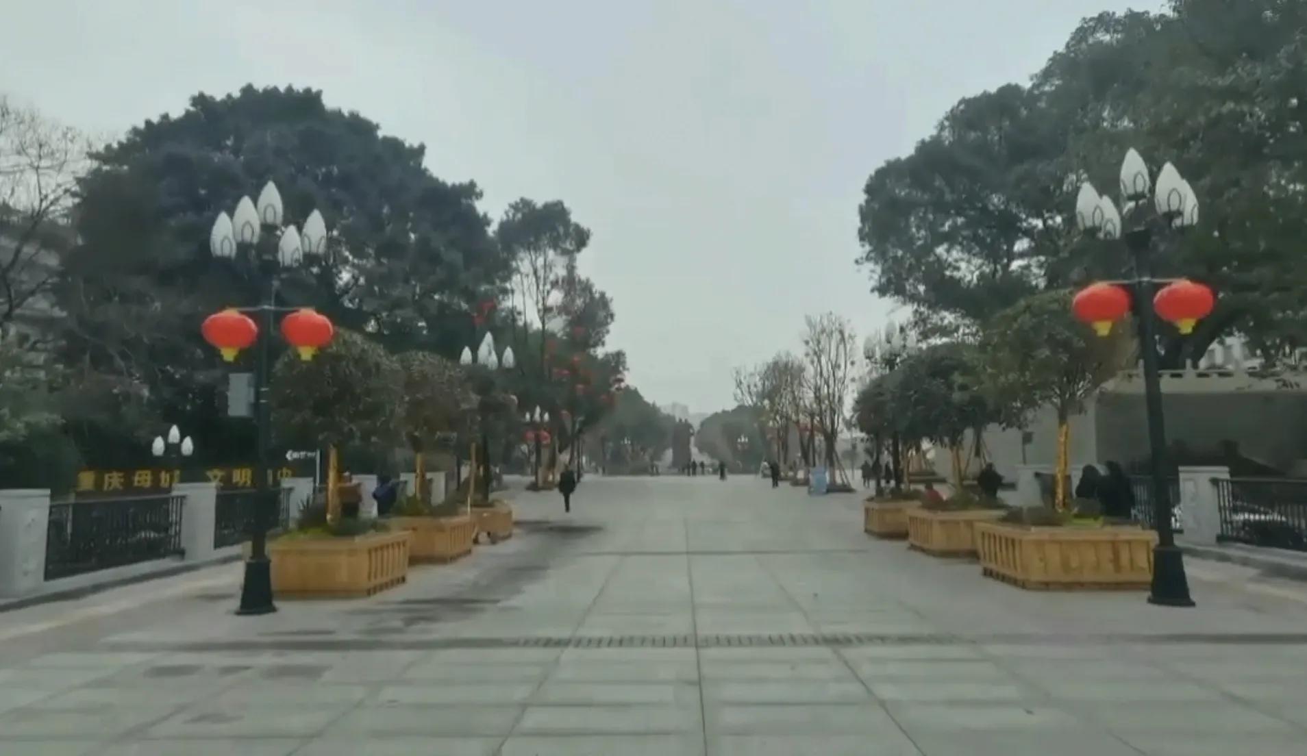 春游开拓眼界,春游樱花广场图片