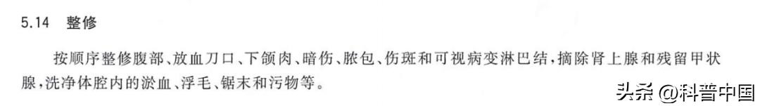 救命！买到了一块带乳头的五花肉，怎么办？