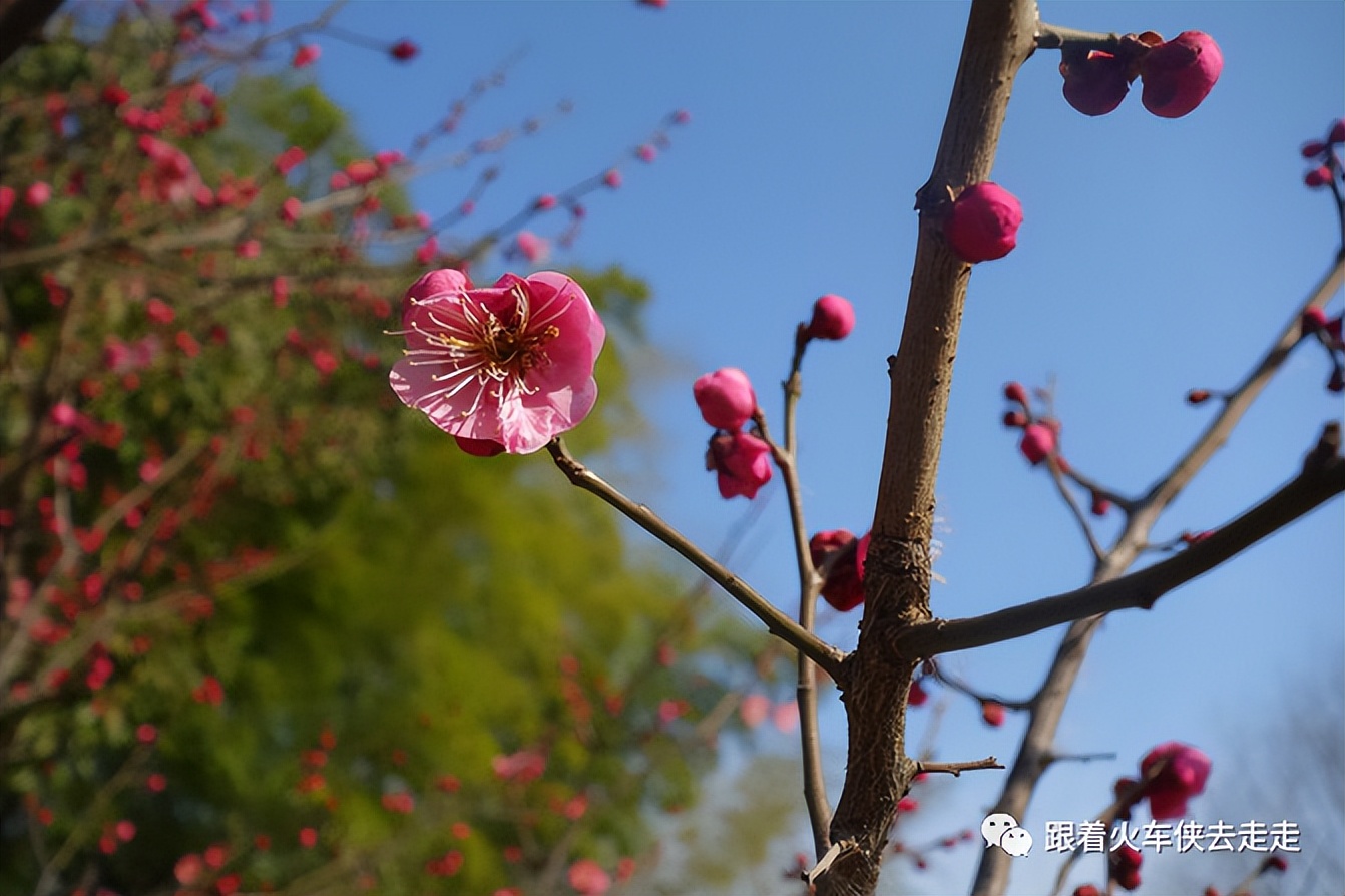 江苏宜兴西渚镇云湖风景区,西渚镇云湖风景区