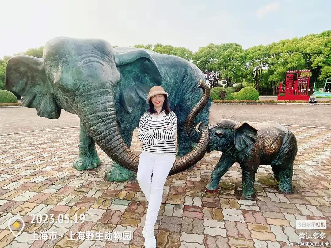 中国最大的野生动物园是哪个城市,中国最大野生动物园