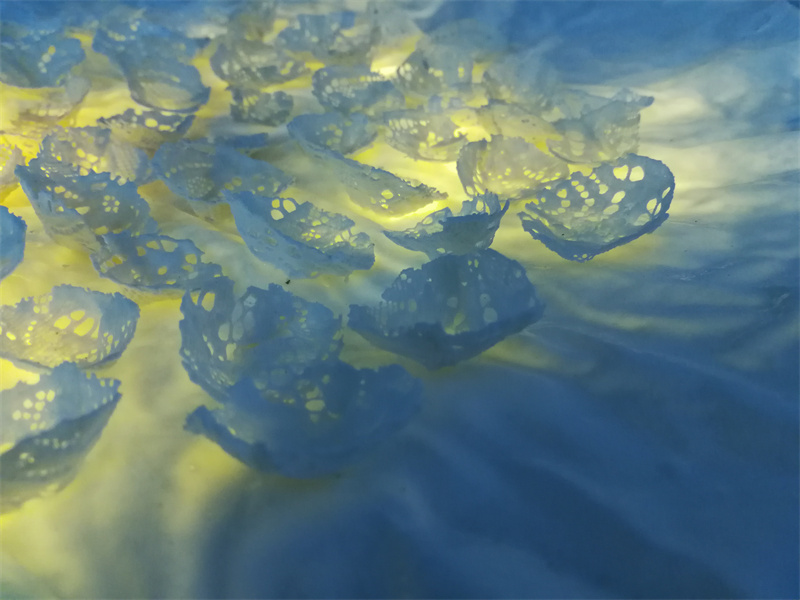 桃花源第三届桃花艺术节,桃花源艺术展