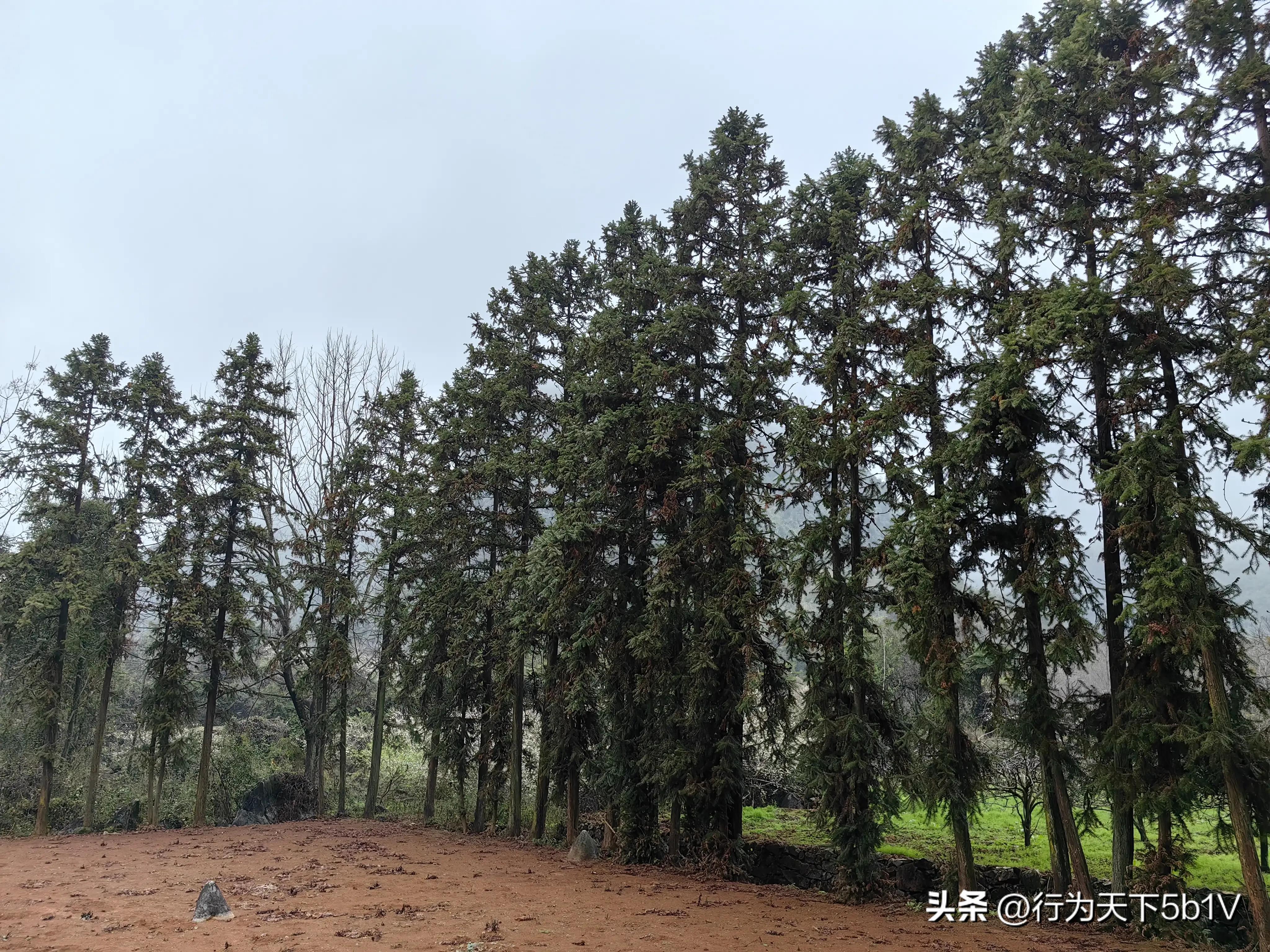 【平乐十里画廊鬼斧神工伟人石像】穿越唐*平宋**乐榕津千年古镇！