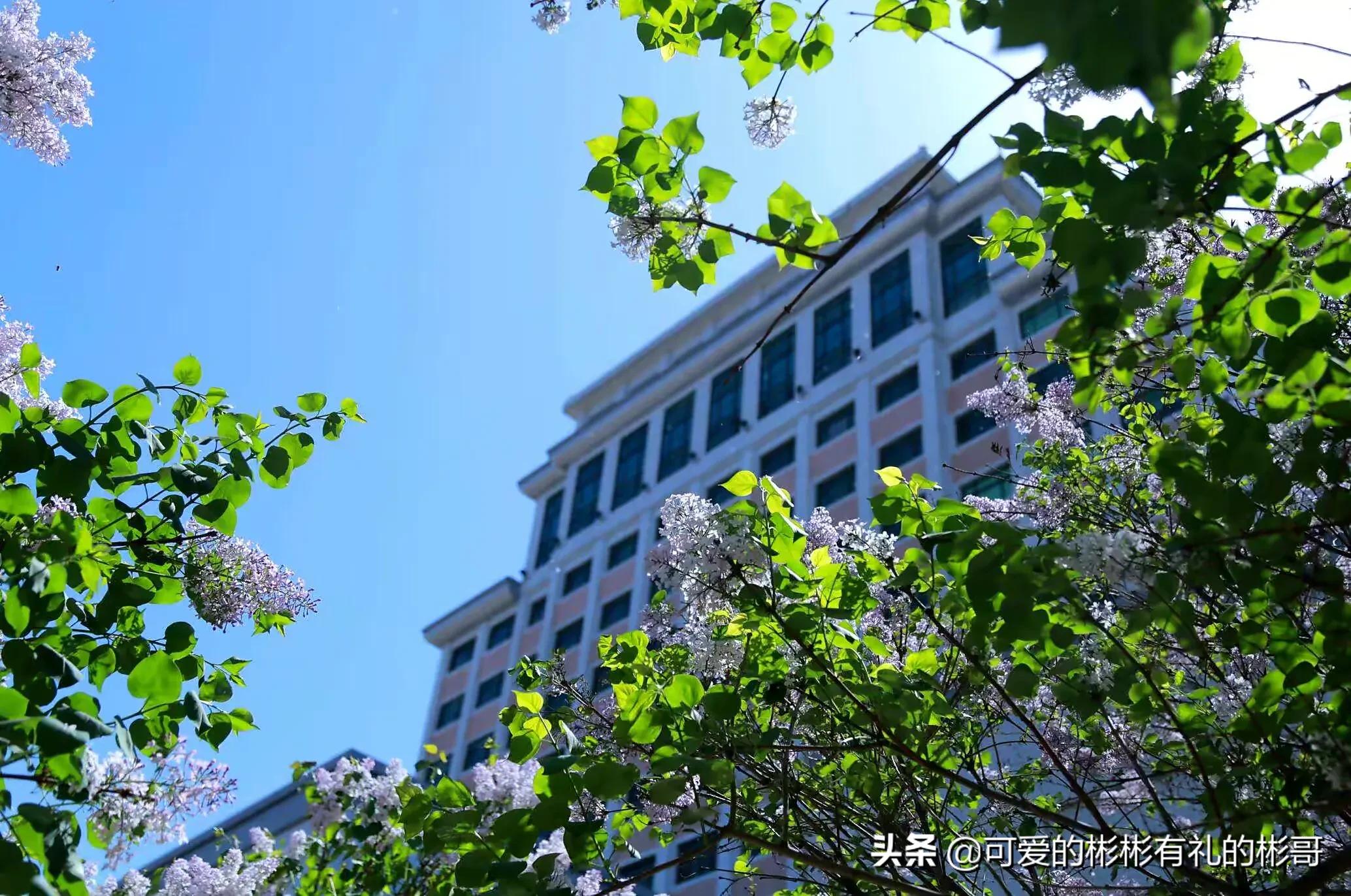 中央财经大学企业管理专业,中国财经人才的摇篮