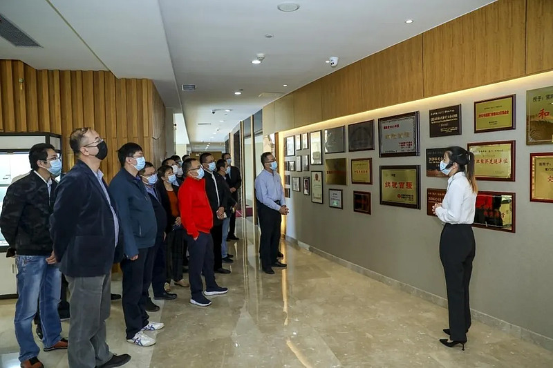 全球领先的半导体显示技术,国际新型显示技术2018